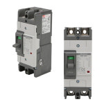 LS산전 메타솔 ABS 102C 100A 2P 산업용 배선차단기 전기실 분전함 : 더셰이드