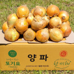 [또기요] 양파 10kg 국산(대) 산지직송 실속형 대용량 식당 업소용 : 또기요