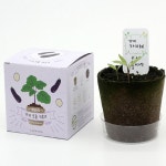 ouhs 반려식물 화분재배키트 농장시리즈 모종 키우기 : OUHS