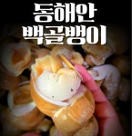 바른밀면&바른수산 포항흥해점 | 포항 백골뱅이 1kg 당일조업 생물 골뱅이 백고동 생골뱅이 냉동 제철 : 포항 바른수산