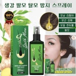 1+1+1 생강 발모액 두피보호 헤어미스트 탈모케어 예방 트리트먼트 : 뷰티 오아시스