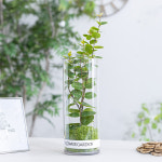 리틀 그로우 원통화병 set 47cm diy 인테리어 여름 조화 장식 소품 꾸미기 그리너리 : 플라워트리