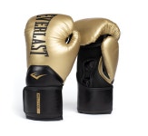 에버라스트 엘리트2 복싱글러브 권투글러브 학생 여성 성인남여 샌드백 타격훈련 : 한울 컴퍼니