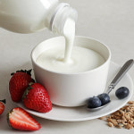 시지 않은 수제 플레인 요거트 바로 착유 제조 살아있는 유산균 그남자의치즈가게 목장 : 줄스클럽