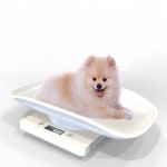 반려동물 애완견 애견 고양이 아기 반려견 강아지 저울 : 서치플레이스6