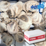 왕쭈꾸미 주꾸미 200/300 300/500 5kg 25마리 15마리 내외 벌크 업소용 : 수산 왕국