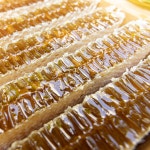 국내산 산지직송 벌집꿀 벌꿀집 설날 명절선물 답례품 김봉달 3.8kg : 김봉달의 벌꿀농장