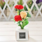 플라워박스 카네이션 선물 레드 어버이날 꽃다발 꽃 선물 : 서치플레이스9