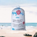 국산 천일염 20 신안소금 굵은소금 김장용 20kg × 1개 : 멍균관