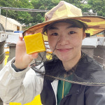 오복벌꿀농장 국산 천연 밀랍 1kg 비즈왁스 랩 식용밀납 까눌레 화장품 캔들재료 : 오복벌꿀농장