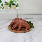 완도 자연산 손질 돌문어 500g~ 1kg 생산자직송 급랭 제수용 숙회 최상급문어 : 완도남매수산