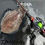 다이와 쿄쿠에이 타코이카 EX AGS 심해 갑오징어 낚시대 쭈꾸미 로드 쭈갑 165XH : 피싱메이트