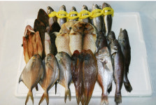 제찬생선 민어조기 참조기 병어 장대 참돔 서대 말린우럭 선물용 제수용 반건조생선 : 전복마을