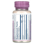 (아이허브) 솔라레이 2개X 매스틱 검 1000mg 베지 캡슐 45정(캡슐당 500mg) : 아이허브 공식스토어