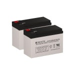 APC 백업UPS Pro NS 1080VA UPS 교체 배터리 2개 세트 : 드보라비