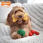 Nylabone Power Chew 강아지 장난감 팩 공격적인 츄어를 위한  재미있는 트위 : 에스와이넷샵