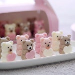 [붐스토리] Baby베어 초콜릿만들기세트 수제 발렌타인데이 DIY : 핫트랙스