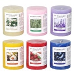 JnG 아로마 향초-3호(대) 캔들/필라 /방향/탈취 JnG 아로마 향초-3호(대) 캔들/필라 국산/방향/탈취 : 파란만물상