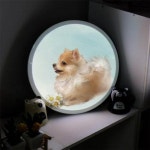 [꾸밈] nd242-LED액자35R_강아지는내친구포메리안_LED사인 : 핫트랙스