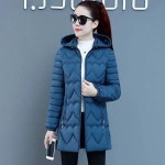 숏패딩 슬림 여성용 코튼 패딩 재킷 후드 두껍고 따뜻한 아우터 여성 캐주얼 중간 길이 오버코트 겨울 파카 새로운 패션 G2847 : 데이지00