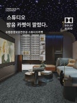 스튜디오 카펫 전문 흡음 홈시어터 피아노 노래방 스튜디오 충격흡음 퓨어 컬러 풀커버 : 강아지풀1
