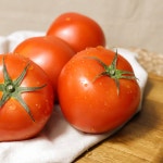 완숙 토마토 유럽종 5kg 10kg : 미리내 농수산