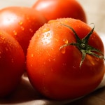 경남 창원 봄 완숙 유럽종 토마토 5kg 3kg 10kg 고당도 제철 : 미리내 농수산