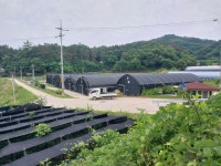 국산 친환경 표고버섯 1kg,  건표고 100g : 금성표고농장