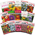 산들마켓 꽃씨앗 일년생 이년생 코스모스 씨앗 4g 꽃씨 야생화 종자 : 산들마켓샵