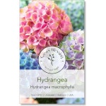 프리미엄 꽃씨 예쁜 꽃 정원 게아의 축복 - 수국 종자 따르기 쉬운 식재 지침이 있는 비-GMO 미처리 개방 수분 가보 항상 신선함 : 풀문라인샵