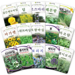 산들마켓 허브씨앗 카모마일 5000립 허브씨 종자 : 산들마켓샵