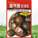 아람종묘 블랙펄 토마토 씨앗 10립 가정원예 완숙토마토씨 종자 : 산들마켓샵