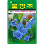 아람종묘 물망초 씨앗 200립 시노그로섬 중국물망초 꽃씨 야생화 종자 : 산들마켓샵
