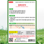 다농 얼룩풋호박 씨앗 30립 풋호박씨 종자 : 산들마켓샵