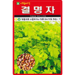 아람종묘 결명자 씨앗 200립 토종 결명자씨 약초 종자 : 산들마켓샵