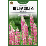 키작은 루피너스 씨앗 10립 갤러리 핑크 미니루피너스 꽃씨 종자 : 산들마켓샵