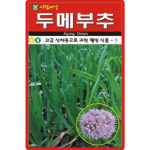 아람종묘 두메부추 씨앗 100립 연중재배 두메부추씨 산채 종자 : 산들마켓샵