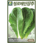 다농 청로메인상추 씨앗 2000립 그린로메인 상추씨 쌈채소 종자 : 산들마켓샵