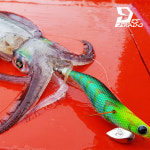 데스페라도 에기스타 무늬오징어 에기 낚시 에깅 NEW 베이직 2.5호 : 루어스피싱