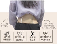 골반보호대 골반벨트 골반 바른자세 골반교정 : 다나아메디칼