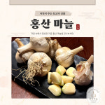 [한끼 양념채소]홍산마늘 10키로 대/중/소 산지직송 : 주식회사농업회사법인에스엔피
