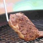 바비큐 고기 그릴 불판 태망 석쇠 스텐 캠핑 삼겹살 BBQ 포크 바베큐 조리기구 스테인레스 스틸 플리퍼 야외 케밥 : 원앤마켓