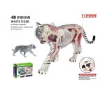 동물 해부도 모형 동물병원 강아지 고양이 해부학 : 해바라기.