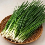 GAP 깐쪽파 500g × 1개 : 김마스네