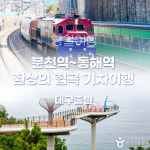 분천역~동해역 환상의 협곡 기차여행 도째비골 스카이밸리/묵호등대/추암 촛대바위길 : 무궁화관광