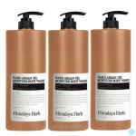 부케가르니 바디워시 대용량 티트리 추천 1500ml 3개 : 비엔엠코리아