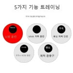 샌드백 레슬링 복싱 격투기 주짓수 마네킹 더미 도장 : 모다mall