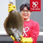 제철 광어 대광어 통필렛 1kg 3.5kg 완도 제주 숙성 황금 찰 광어회 생선 활어 : 더꽃게