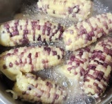 해마농장 국내산 땅끝 해남 2024년 햇옥수수 찰옥수수 5개 10개 20개 산지직송 : 해마농장