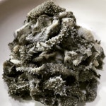 한우 천엽 마장동 축산시장 : 맛청년농수산